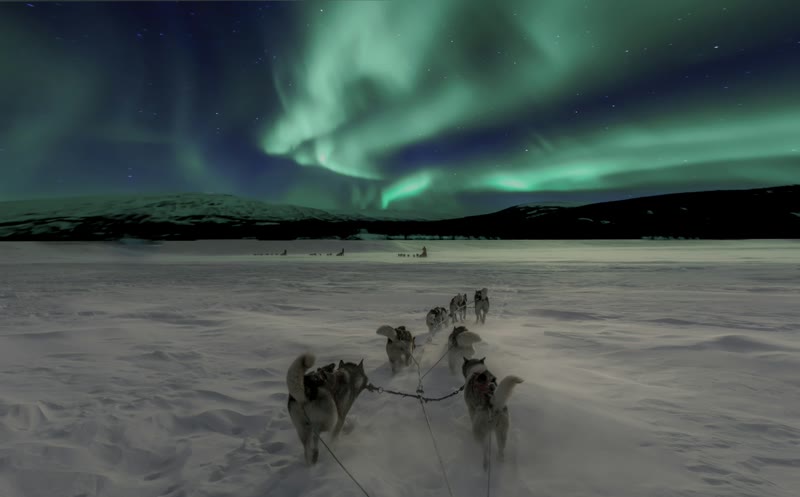 The aurora borealis over a snow-covered Arctic landscape