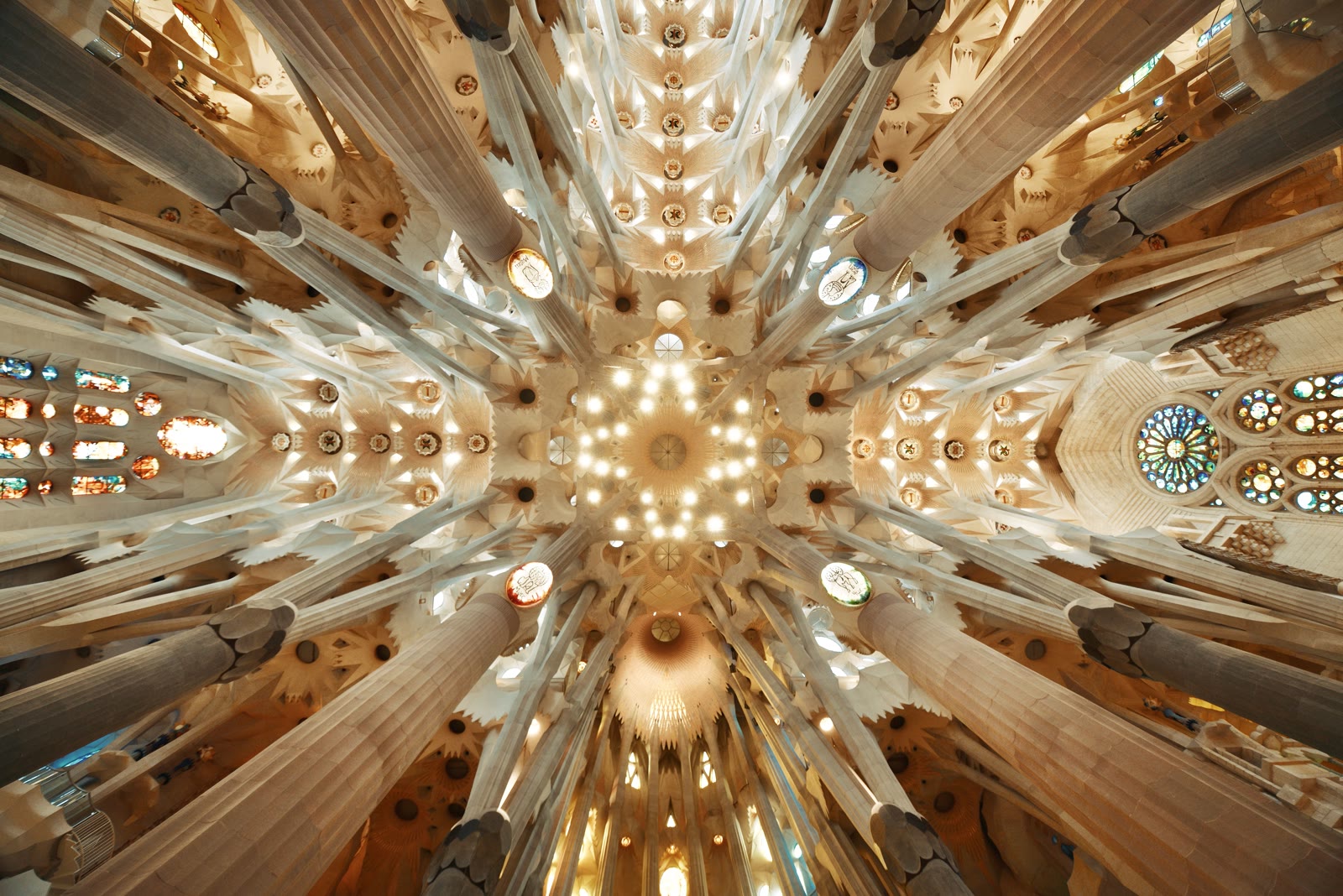 The forest of columns branching into the vault of the Sagrada Família